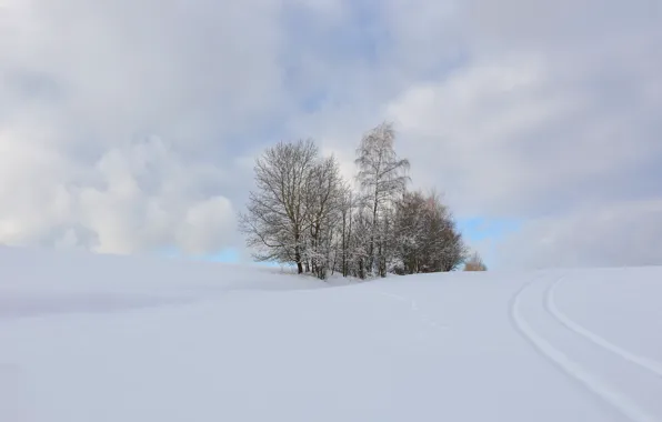Картинка зима, поле, снег