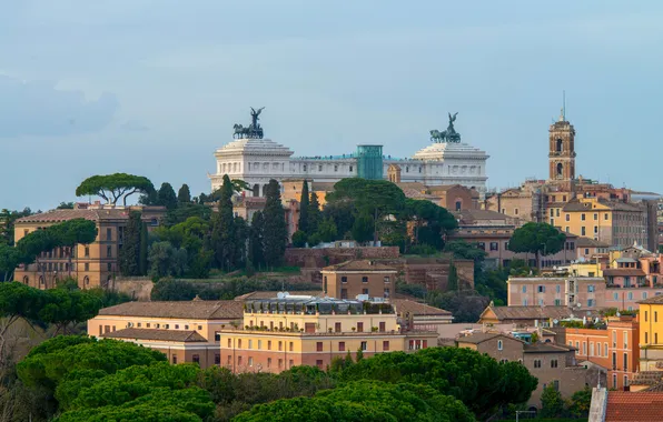 Деревья, дома, Рим, Италия, панорама, Витториано