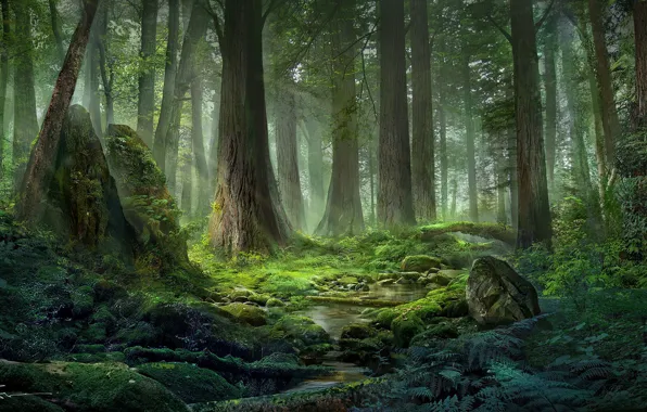 Картинка лес, природа, арт, Джереми Чонг, Jeremy Chong