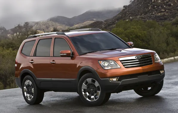 Orange, KIA, Borrego