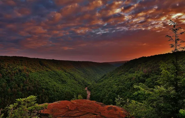 Небо, облака, деревья, пейзаж, горы, sky, trees, landscape