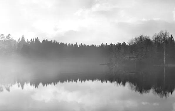 Вода, деревья, туман, гладь, отражение, Mirror, by Robin De Blanche