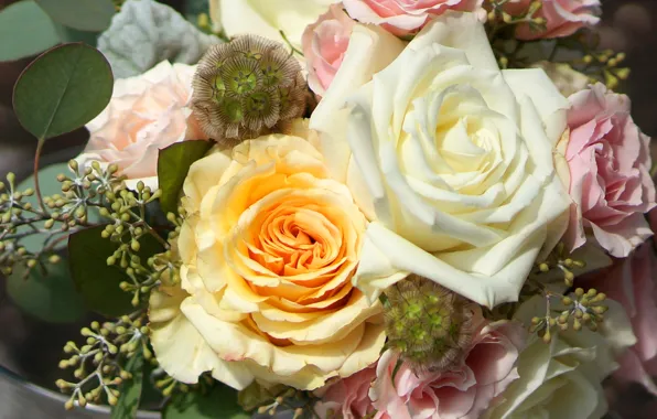 Листья, розы, букет, Roses, Bouquets