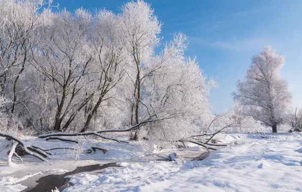 Картинка зима, иней, снег, деревья, пейзаж, природа, мороз, речушка