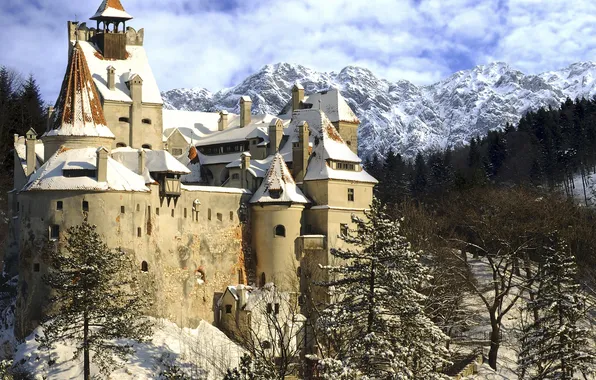 Зима, снег, замок, winter, старинный, castle