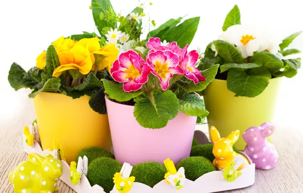 Цветы, праздник, весна, Пасха, кролики, прищепки, Easter, петушки