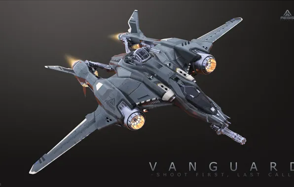 Space ship, star citizen, Vanguard