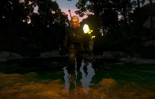 Геральт, Ведьмак 3 Дикая Охота, Witcher 3 Wild Hunt