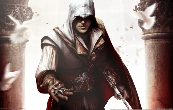 Картинка медальон, голуби, Assassin&#39;s Creed