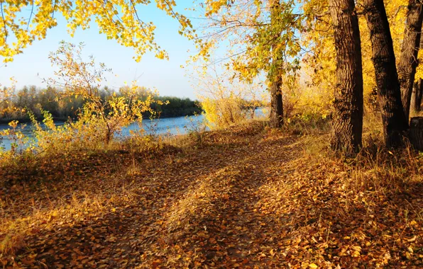 Картинка Fall, Colors, Autumn, Деревья, Leaves, Листопад, Листва, Река