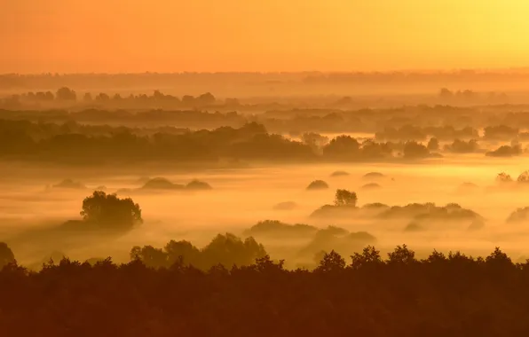 Закат, природа, туман