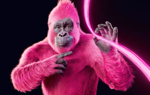 Картинка Pink, Neon, Gorilla