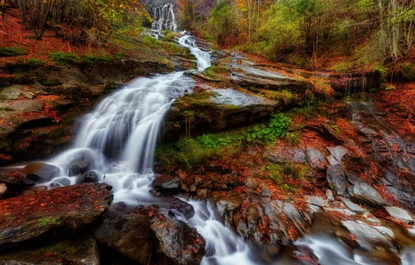 Картинка осень, лес, листья, природа, река, водопад
