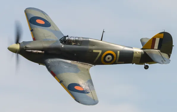 Истребитель, британский, одноместный, Sea Hurricane