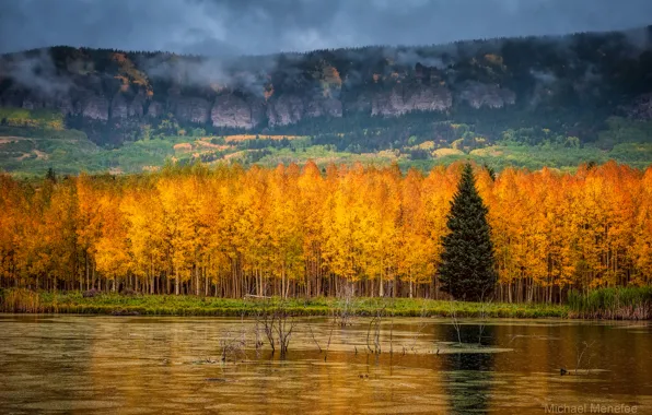 Осень, Колорадо, США, штат, горный хребет, Скалистые горы, San Juan