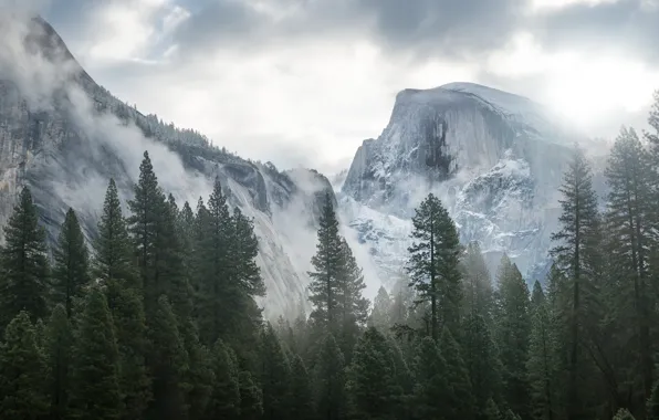 Лес, горы, apple, mac, Yosemite