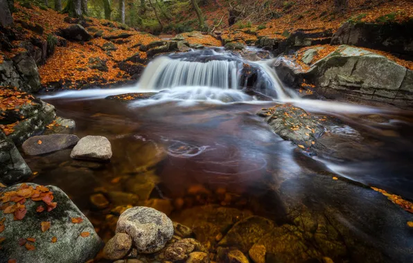 Картинка осень, лес, пейзаж, природа, река, водопад