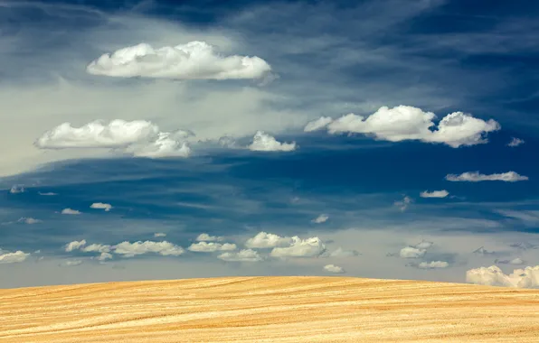 Картинка небо, облака, поля, урожай, фермы