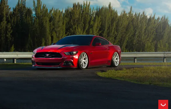 Картинка Mustang, Ford, Vossen, Graphite, VFS6