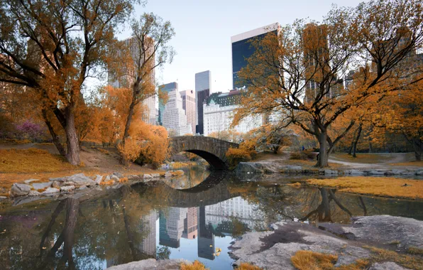 Картинка осень, небо, деревья, мост, дома, Нью-Йорк, США, центральный парк