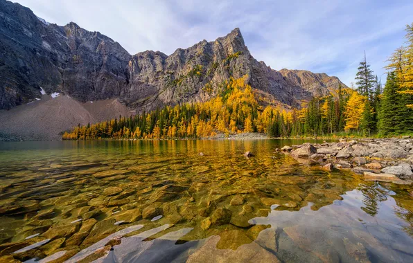 Осень, лес, горы, озеро, камни, скалы, берег, дно