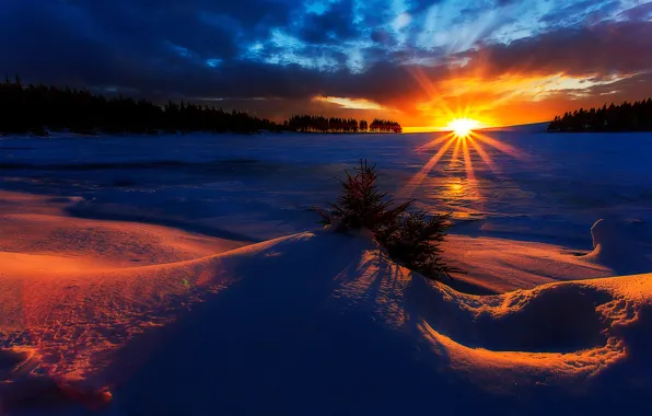 Картинка зима, солнце, рассвет