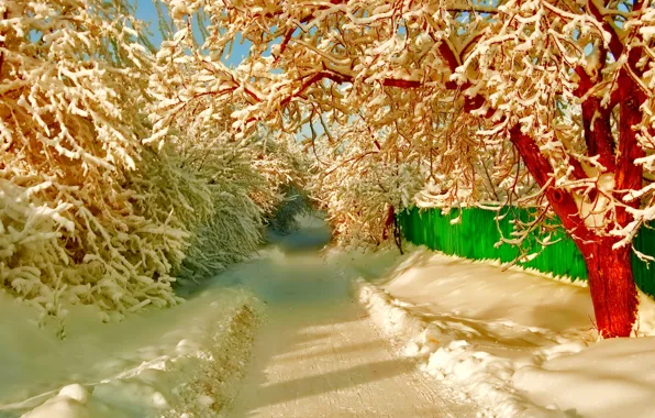 Картинка зима, дорога, снег, деревья, улица, забор