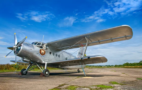 Картинка фон, самолёт, аэродром, Antonov AN-2