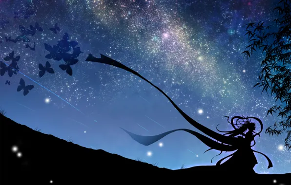 Картинка небо, девушка, звезды, бабочки, ночь, арт, vocaloid, hatsune miku