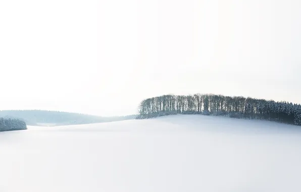 Зима, снег, деревья