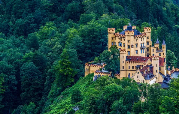 Colorful, forest, germany, castle