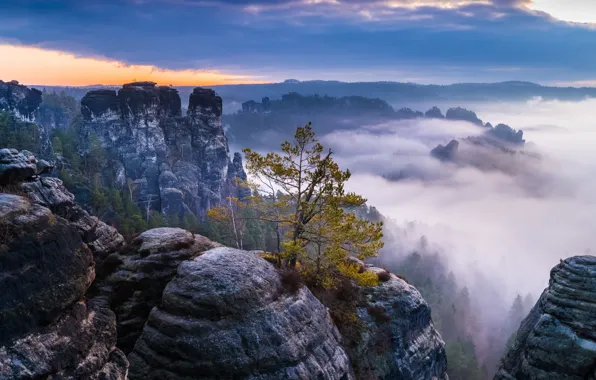 Картинка туман, скалы, Германия, Саксония