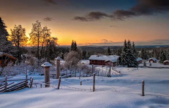 Зима, лес, природа, Норвегия, Norway, Lillehammer