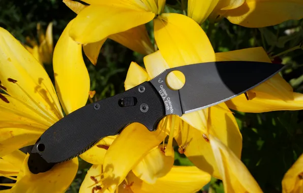 Black, Spyderco, Manix 2, G-10