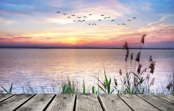 Картинка закат, озеро, чайки, landscape, sunset, lake