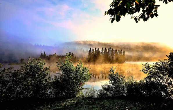 Пейзаж, природа, туман, озеро, холмы, утро, Alain Audet
