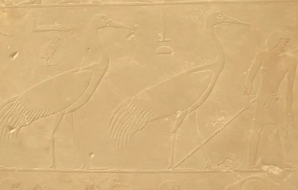 Птица, камень, человек, текстура, символ, Египет, профиль, bird