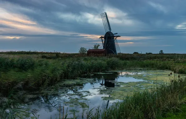 Картинка поле, лето, небо, трава, пруд, пасмурно, берег, поляна