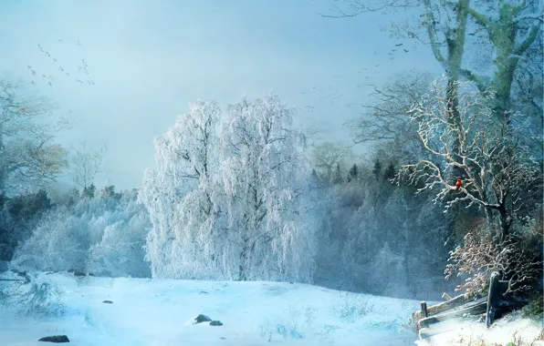 Зима, лес, деревья, птицы, рендеринг, птичка, заснеженный, фотоарт