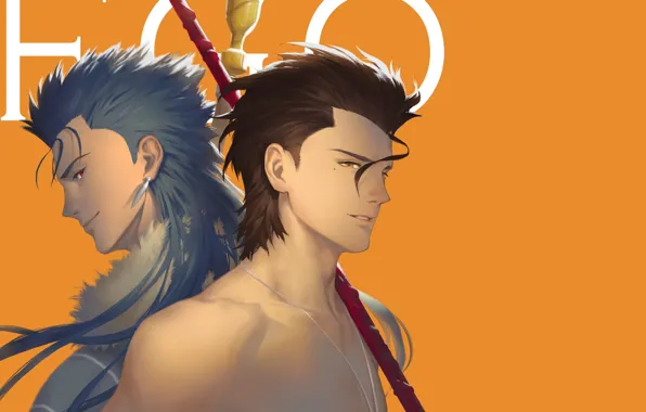 Парни, лансер, Fate / Zero, кастор, Fate / Grand Order