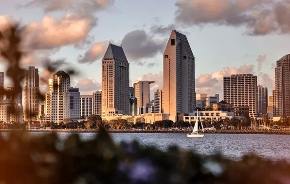 City, город, обои, wallpaper, USA, США, америка, california