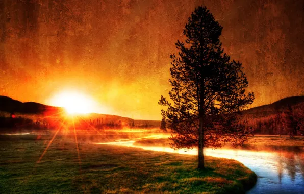 Картинка солнце, дерево, Река