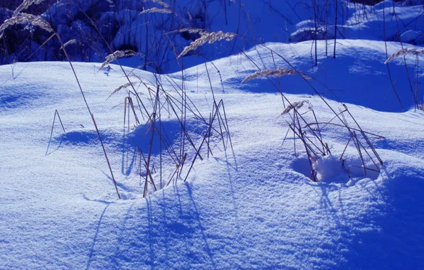 White, winter, snow, cold