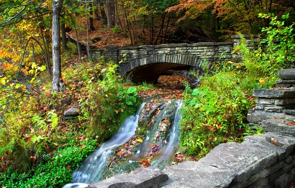 Картинка осень, лес, листья, деревья, мост, парк, река, камни