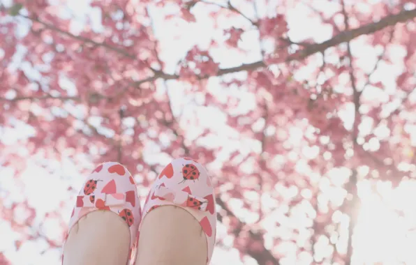 Солнце, дерево, ноги, обувь