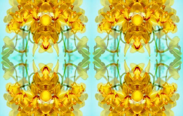 Design, art, pattern
