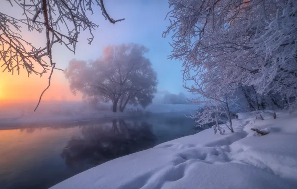Зима, снег, деревья, река, Россия, Река Истра