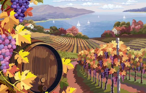 Картинка природа, вино, ландшафт, виноград, гроздь, виноградник, бочка, landscapes