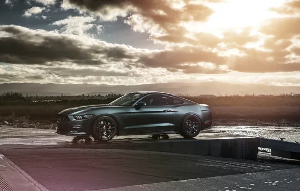 Картинка Mustang, Ford, Muscle, Car, Front, Sun, Sunset, Wheels