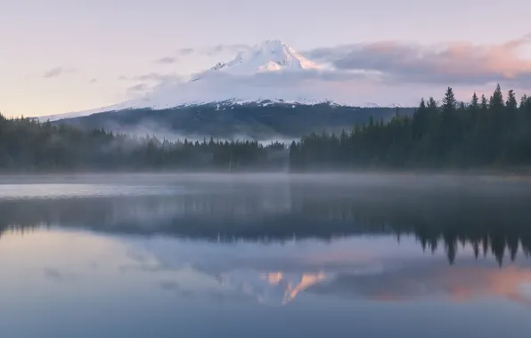 Картинка лес, отражения, туман, озеро, гора